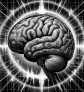 ai-disconnected-brain-consciousness