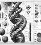ai-genetic-discovery-vision-loss