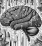 ai-neighborhood-brain-health