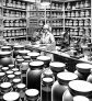 ai-protein-powder-safety