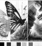 ai-visual-anagrams
