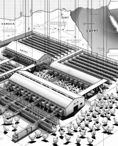 ai-cairo-poultry