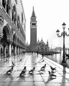 ai-markusplatz-venedig-piazza-san-marco