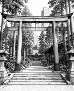 ai-meiji-jingu-wald-torii-wegachsen