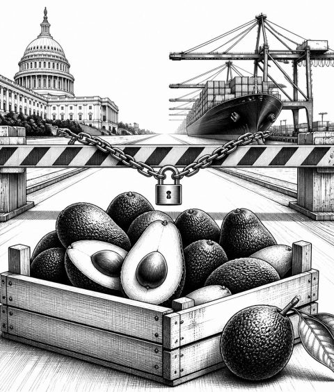 aussetzung-us-regierungsaktivitaeten-bedroht-avocado-exporte-michoacan