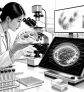 ai-astrozyten-organoid-tsc2