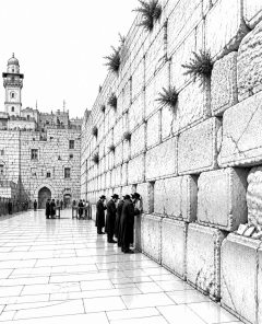 ai-hakotel-hamaaravi-westmauer-tempelberg-jerusalem