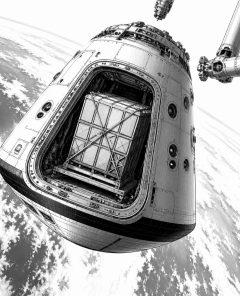 spacex-erster-kunde-starfall-ruecktransport-2028