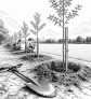 ai-aiea-ohana-park-tree-planting