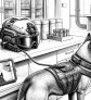 ai-warhound-bioengineer-military-dogs