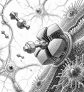 p2x7-antagonist-stoppt-neuroinflammation-gehirngewebe