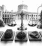 thca-hash-2026-vergleich-ohio-rechtslage